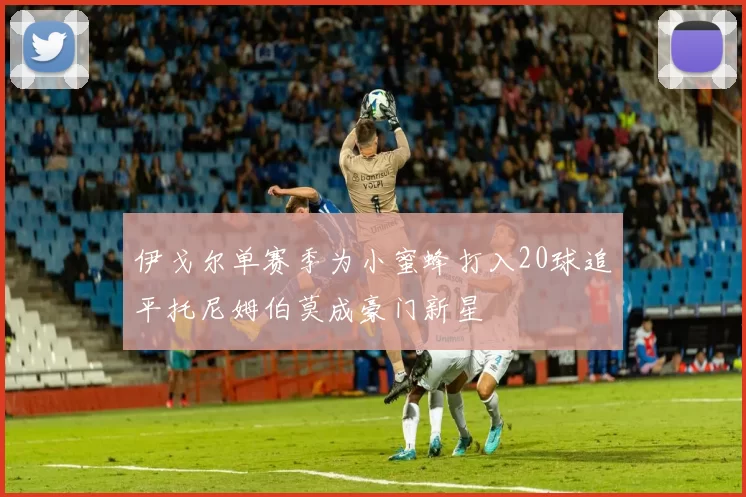 伊戈尔单赛季为小蜜蜂打入20球追平托尼姆伯莫成豪门新星